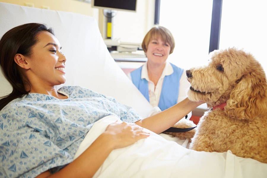 一位年轻的亚裔病人躺在医院床上微笑,当义工看近旁时,她抚摸治疗狗